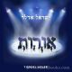 97416 Yisroel Adler - Oirois (CD)